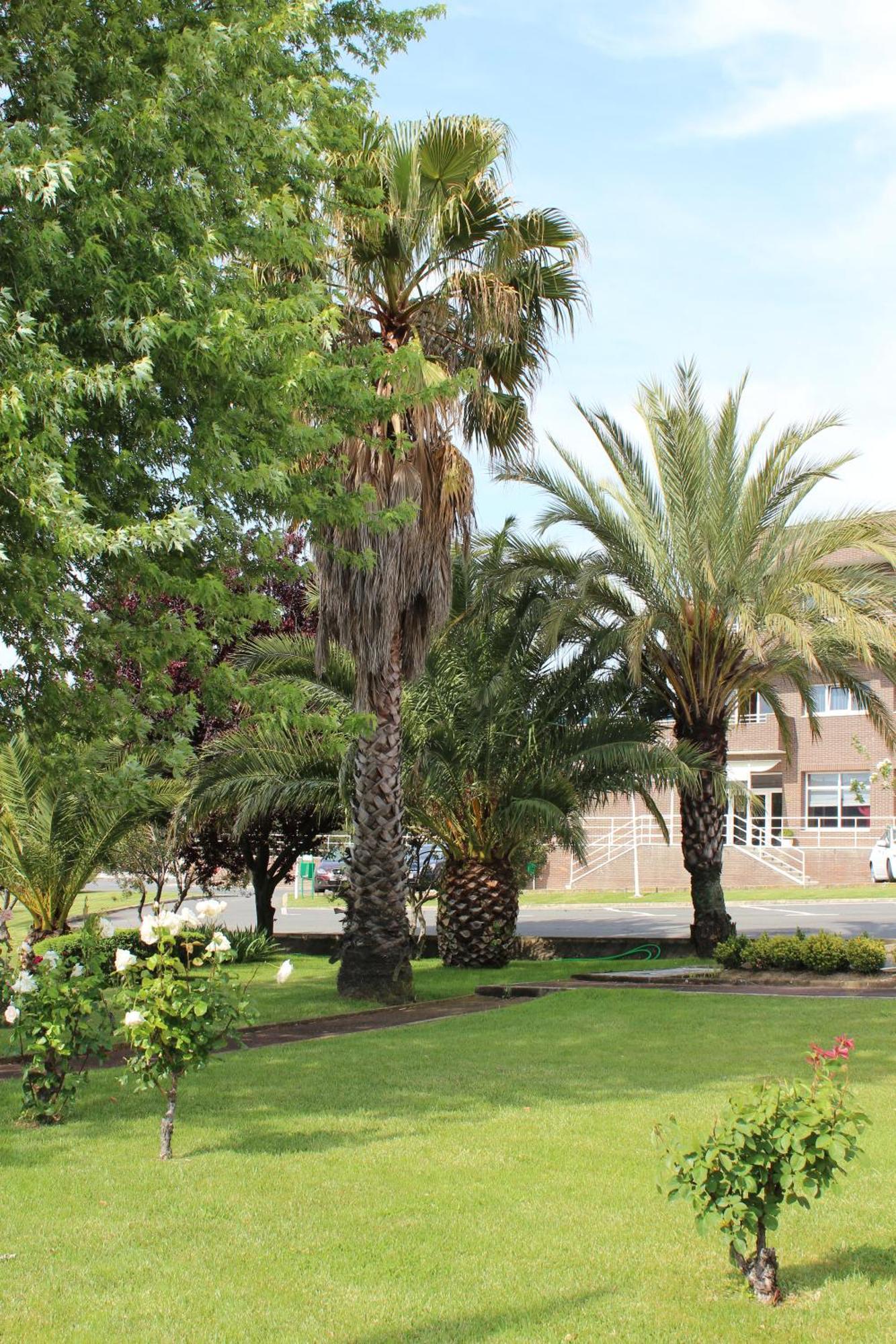 Hotel Azar Plasencia Exterior photo
